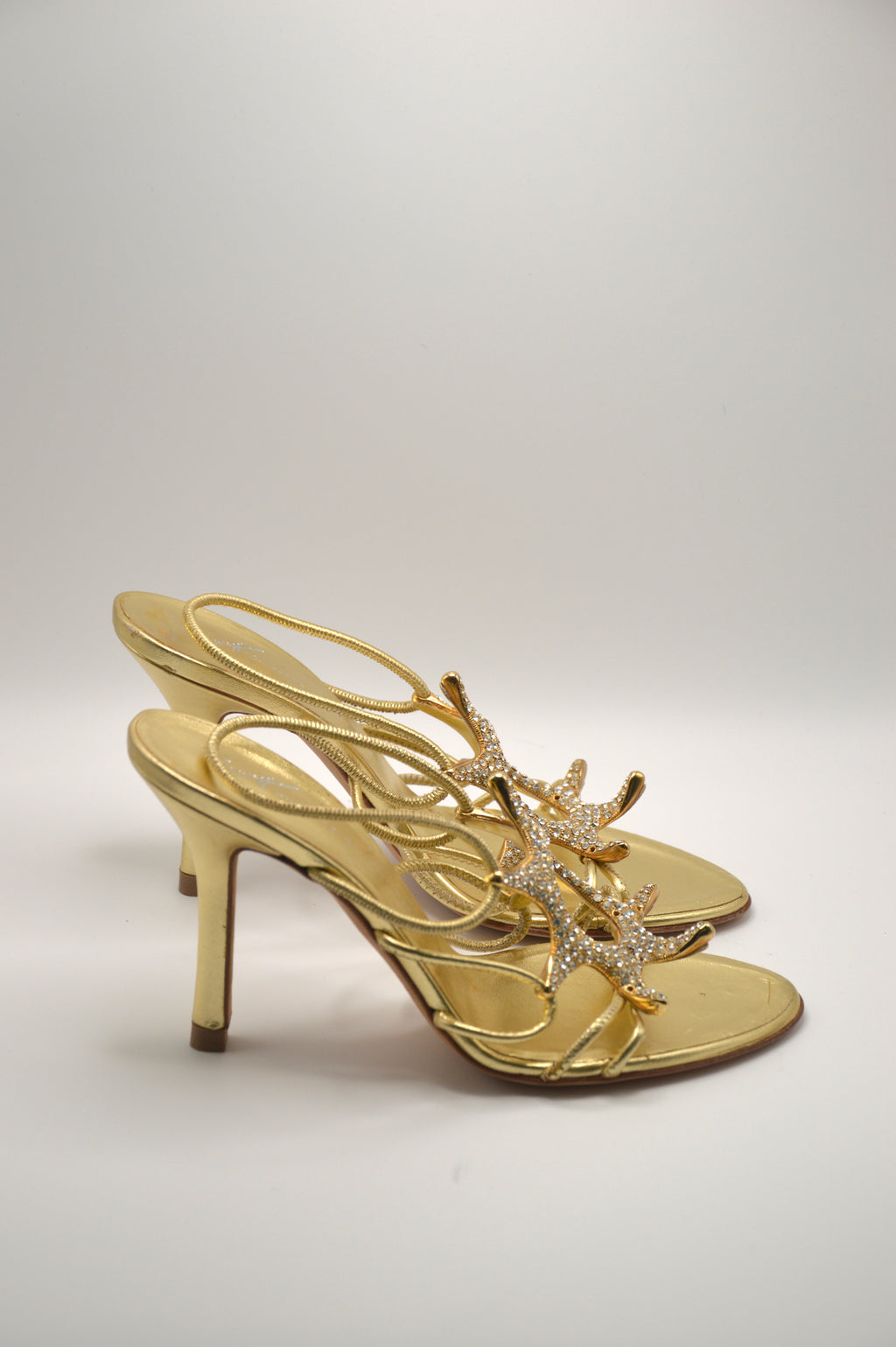 Guiseppe Zanotti