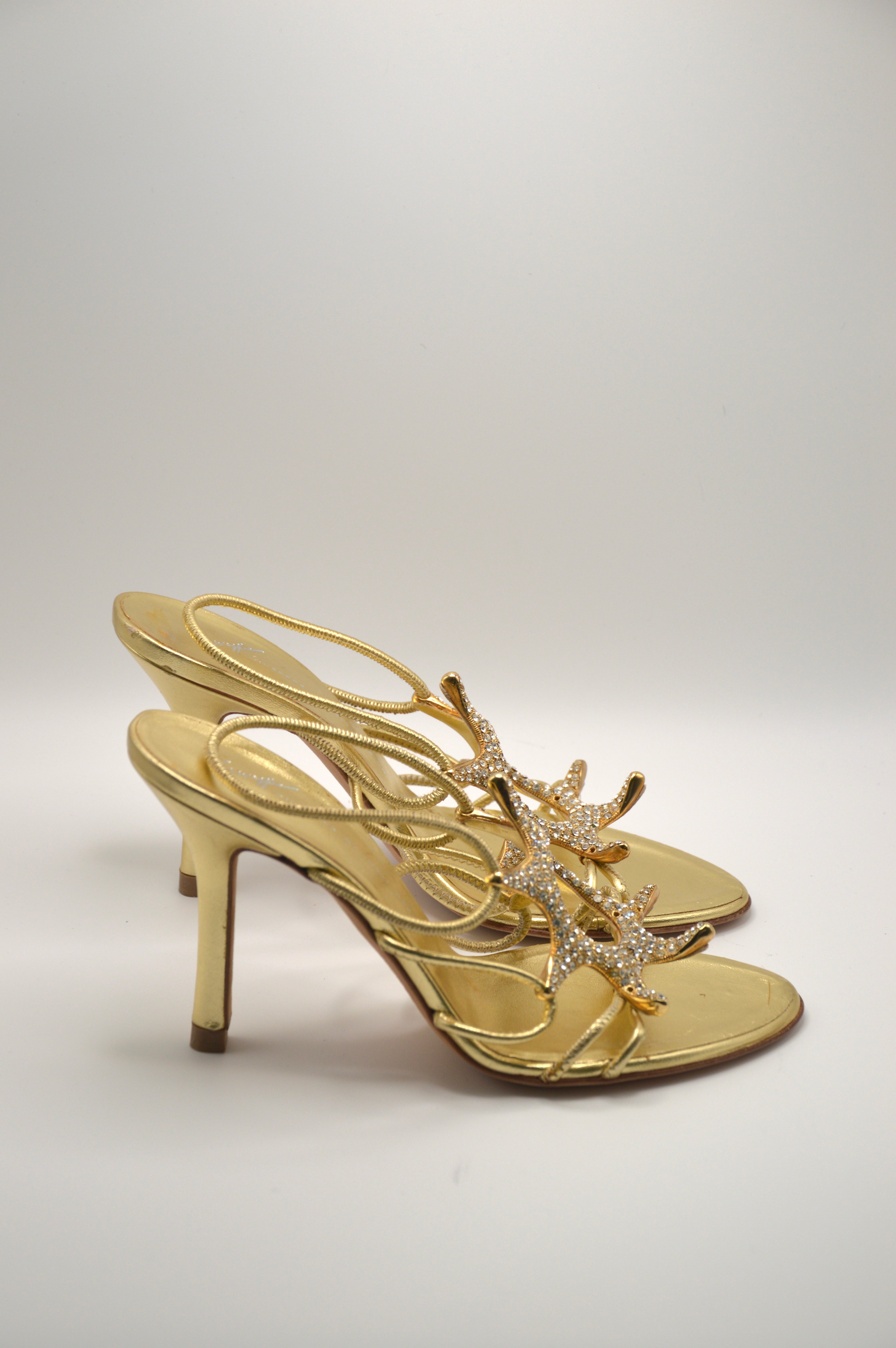 Guiseppe Zanotti