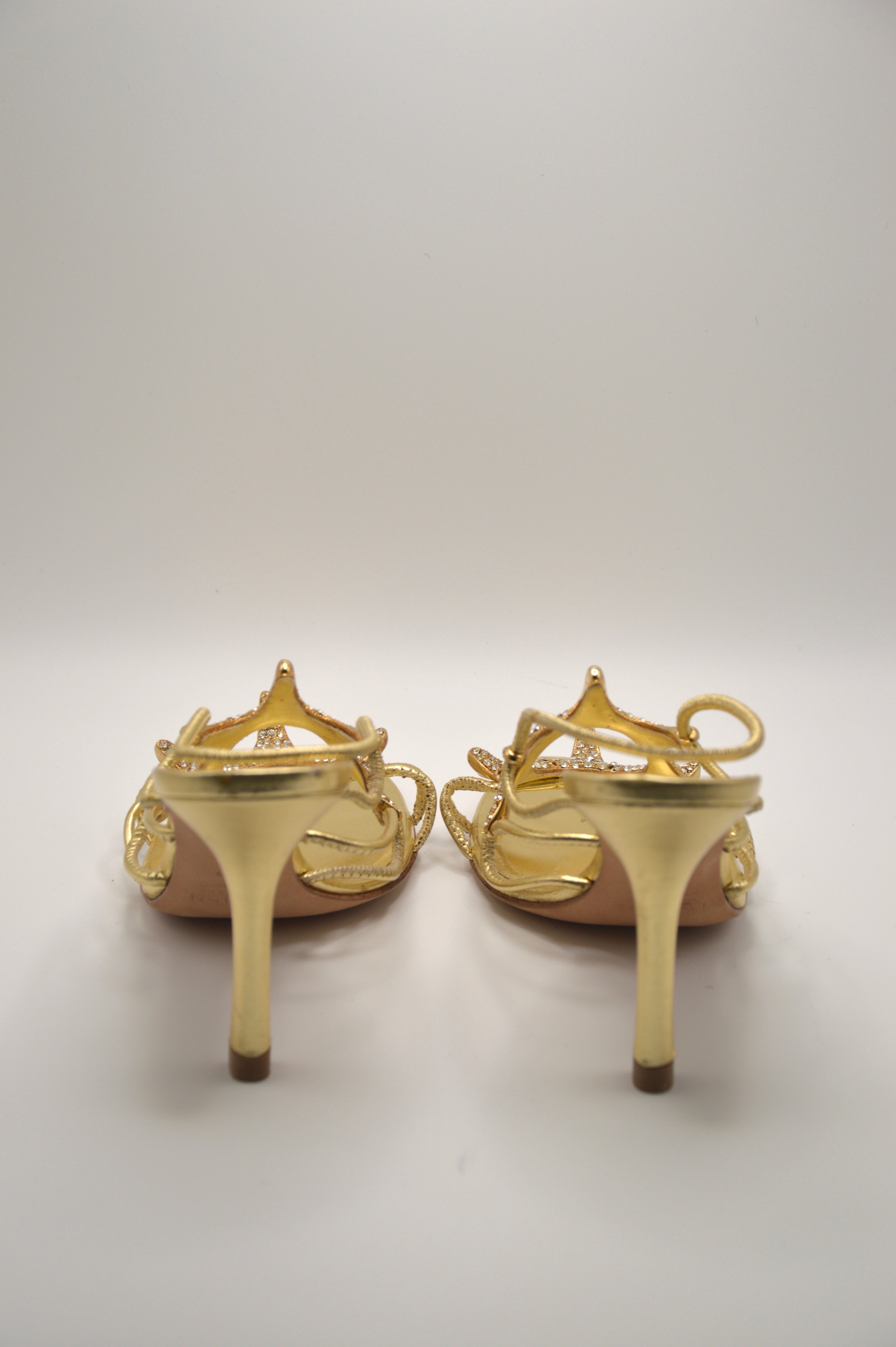 Guiseppe Zanotti